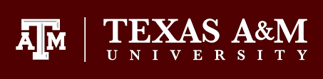 Texas A&M Energy Institute, Texas A&M University, College Station, TX, USA